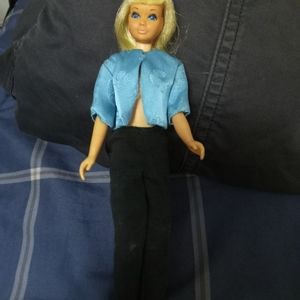 Barbie and accessories